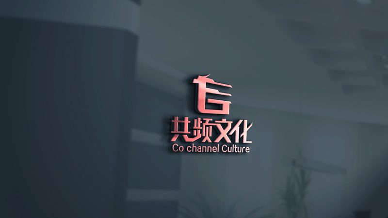 媒介投放策略：精准定位，高效触达**