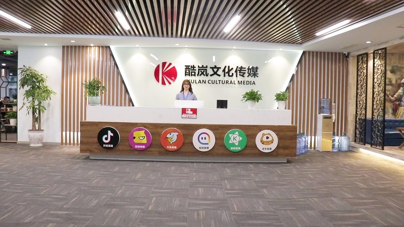 行业现状：品牌策划的多元化与复杂性